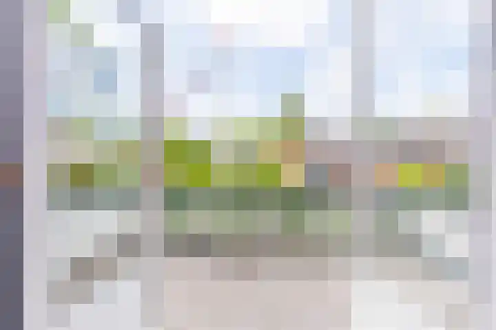Bas Backerlaan 4 Apeldoorn thumbnail 26