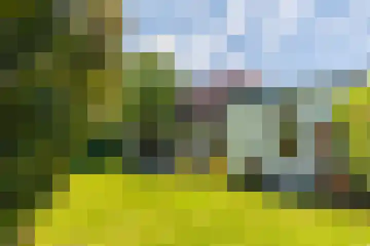 Bas Backerlaan 4 Apeldoorn thumbnail 37
