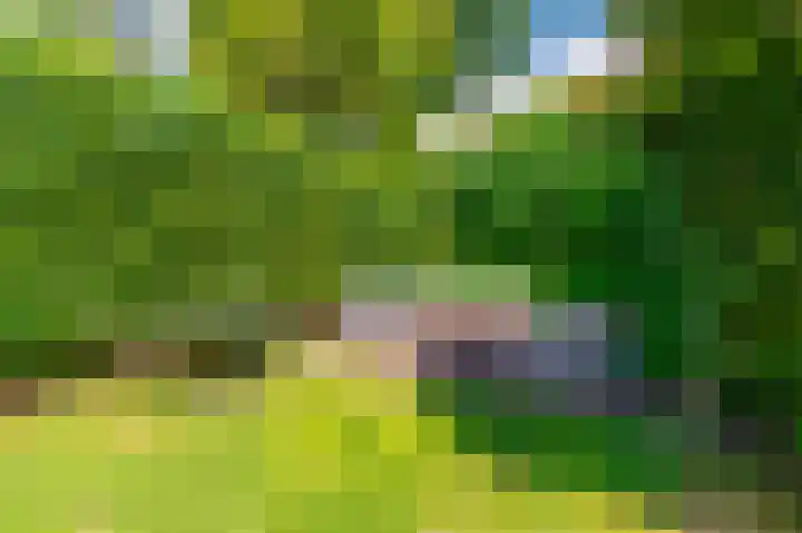 Bas Backerlaan 4 Apeldoorn thumbnail 38