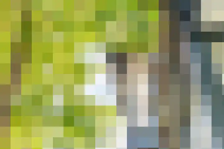Bas Backerlaan 4 Apeldoorn thumbnail 40