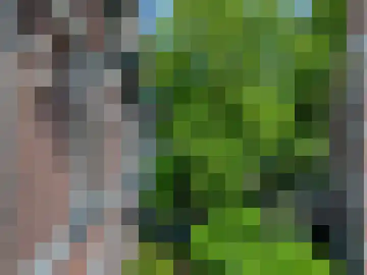 Bas Backerlaan 4 Apeldoorn thumbnail 47