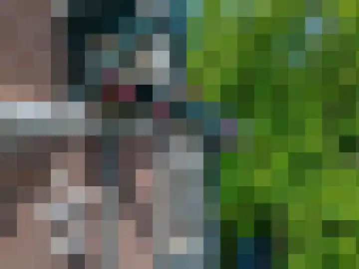Bas Backerlaan 4 Apeldoorn thumbnail 48