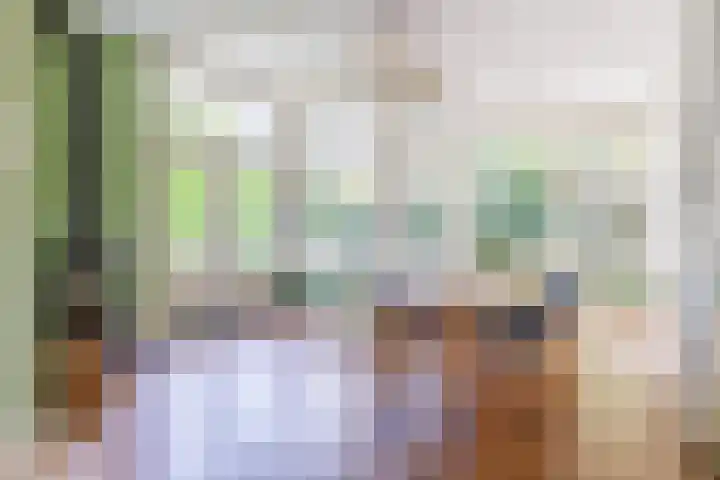 Bas Backerlaan 4 Apeldoorn thumbnail 7
