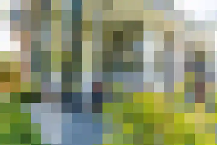 Bas Backerlaan 4 Apeldoorn thumbnail 8