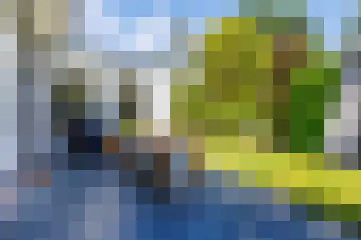 Bas Backerlaan 4 Apeldoorn thumbnail 9