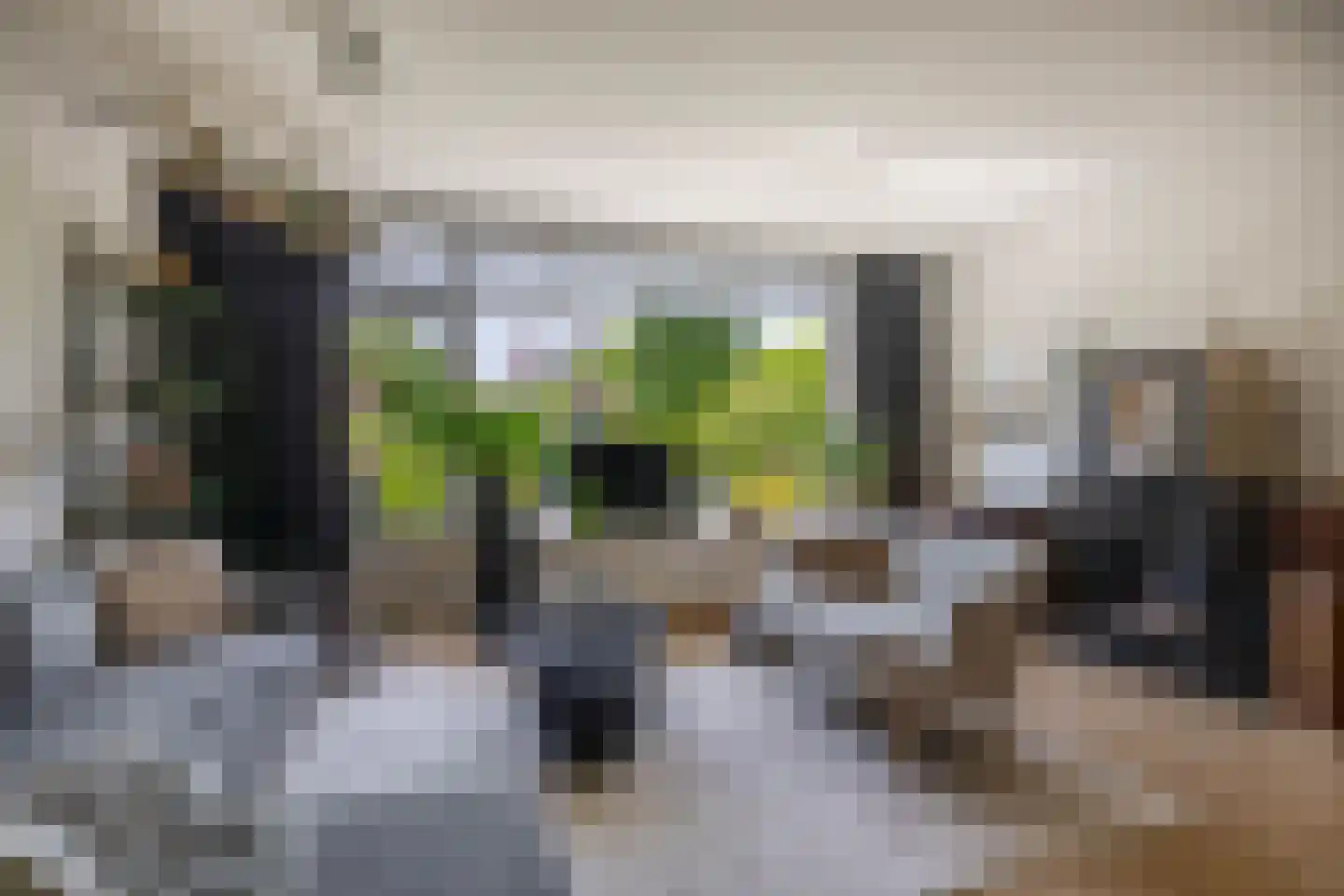 Bas de Blokrede 17 Capelle aan den IJssel thumbnail 10