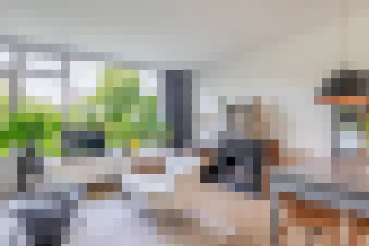 Bas de Blokrede 17 Capelle aan den IJssel thumbnail 12