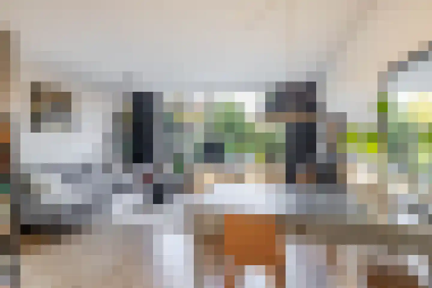 Bas de Blokrede 17 Capelle aan den IJssel thumbnail 12