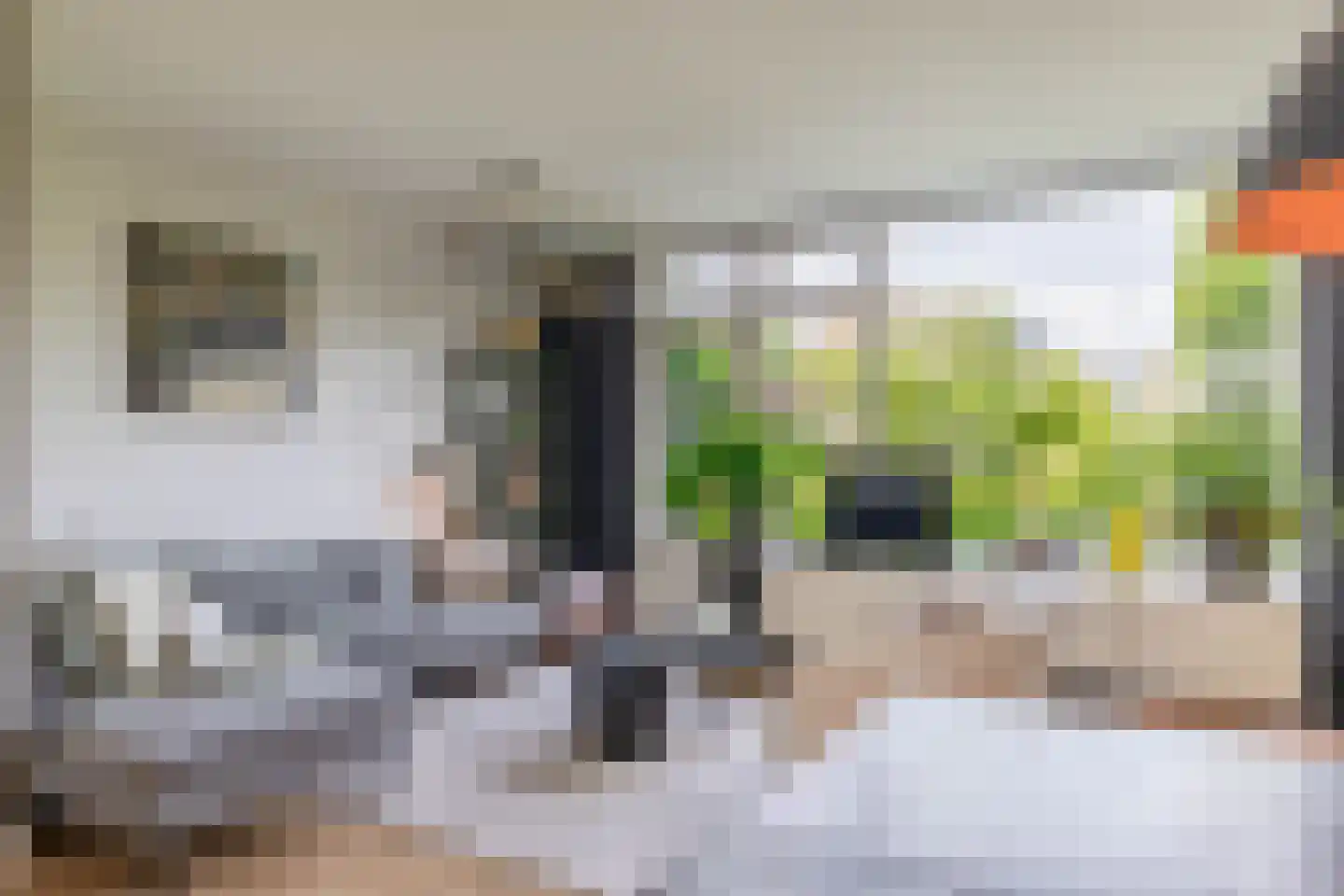 Bas de Blokrede 17 Capelle aan den IJssel thumbnail 13