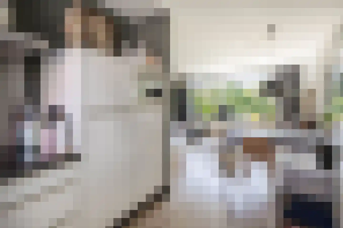 Bas de Blokrede 17 Capelle aan den IJssel thumbnail 16