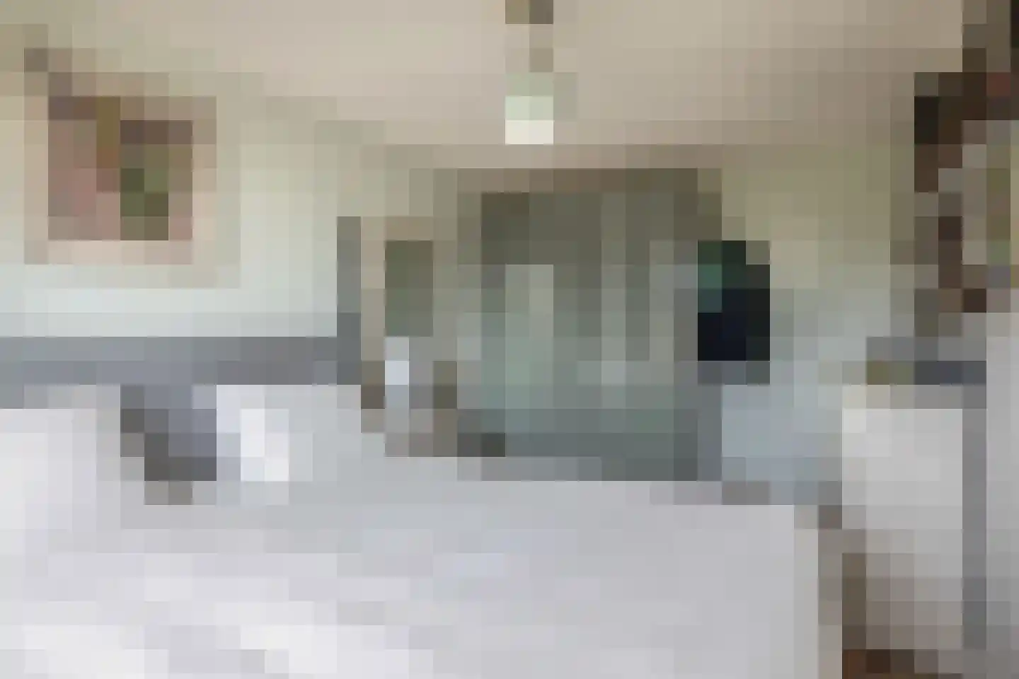 Bas de Blokrede 17 Capelle aan den IJssel thumbnail 19