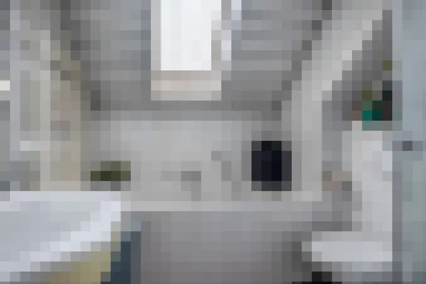 Bas de Blokrede 17 Capelle aan den IJssel thumbnail 22