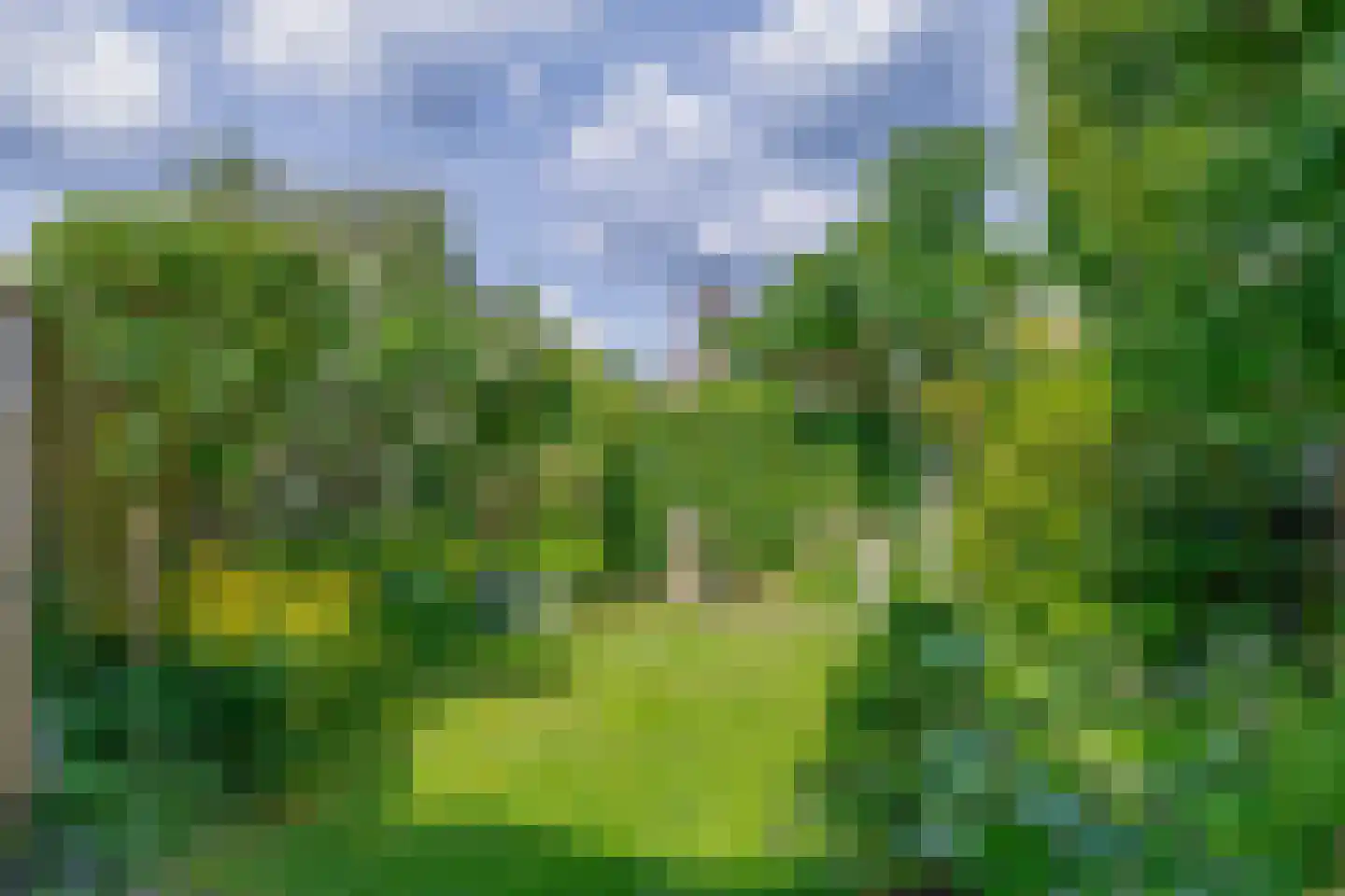 Bas de Blokrede 17 Capelle aan den IJssel thumbnail 31
