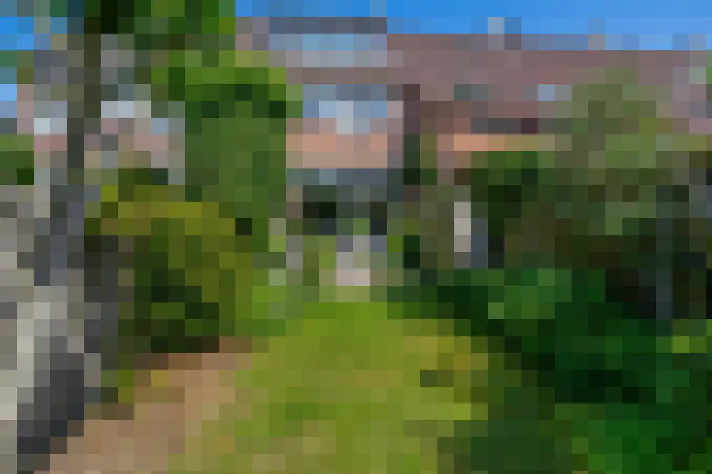 Bas de Blokrede 17 Capelle aan den IJssel thumbnail 4
