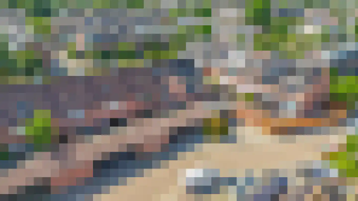 Bas de Blokrede 17 Capelle aan den IJssel thumbnail 45