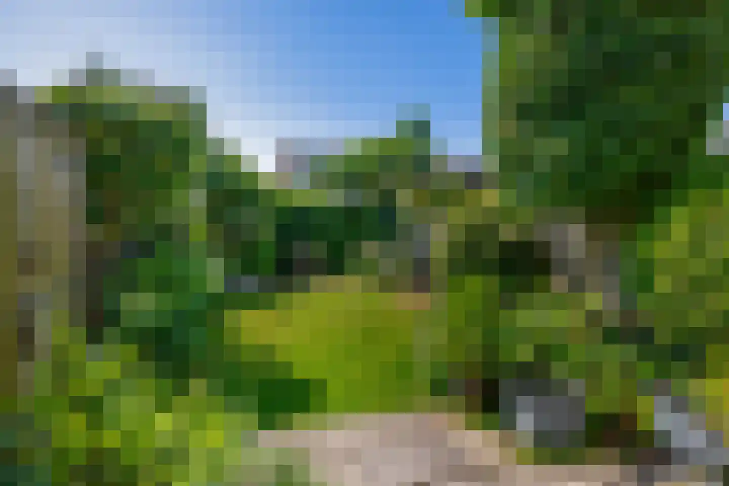 Bas de Blokrede 17 Capelle aan den IJssel thumbnail 5