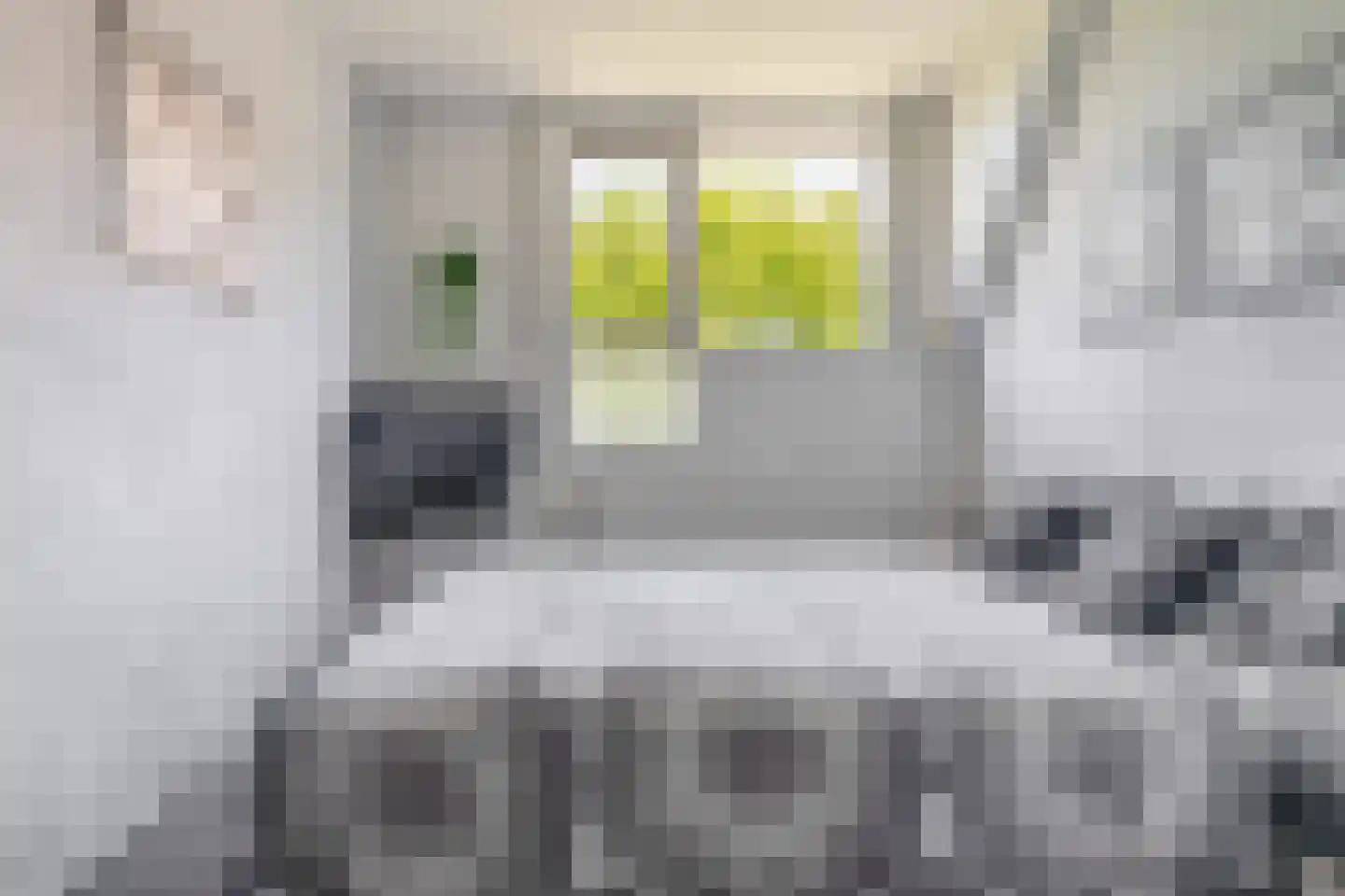 Bas de Blokrede 27 Capelle aan den IJssel thumbnail 11
