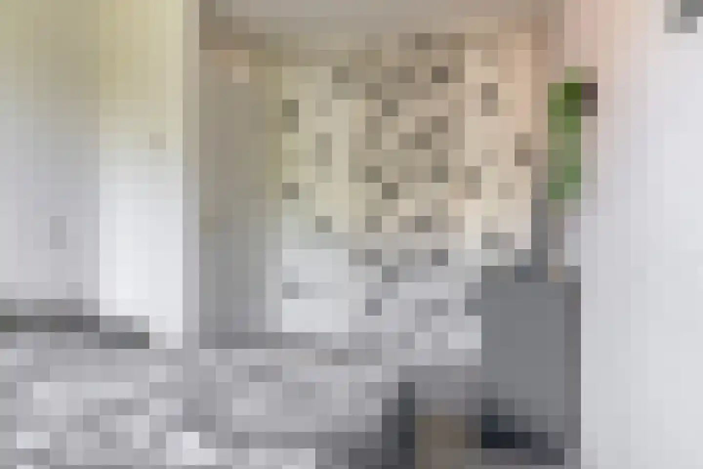 Bas de Blokrede 27 Capelle aan den IJssel thumbnail 12