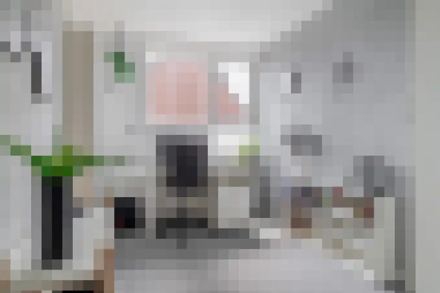 Bas de Blokrede 27 Capelle aan den IJssel thumbnail 14
