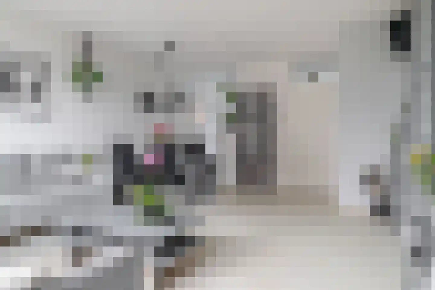 Bas de Blokrede 27 Capelle aan den IJssel thumbnail 6