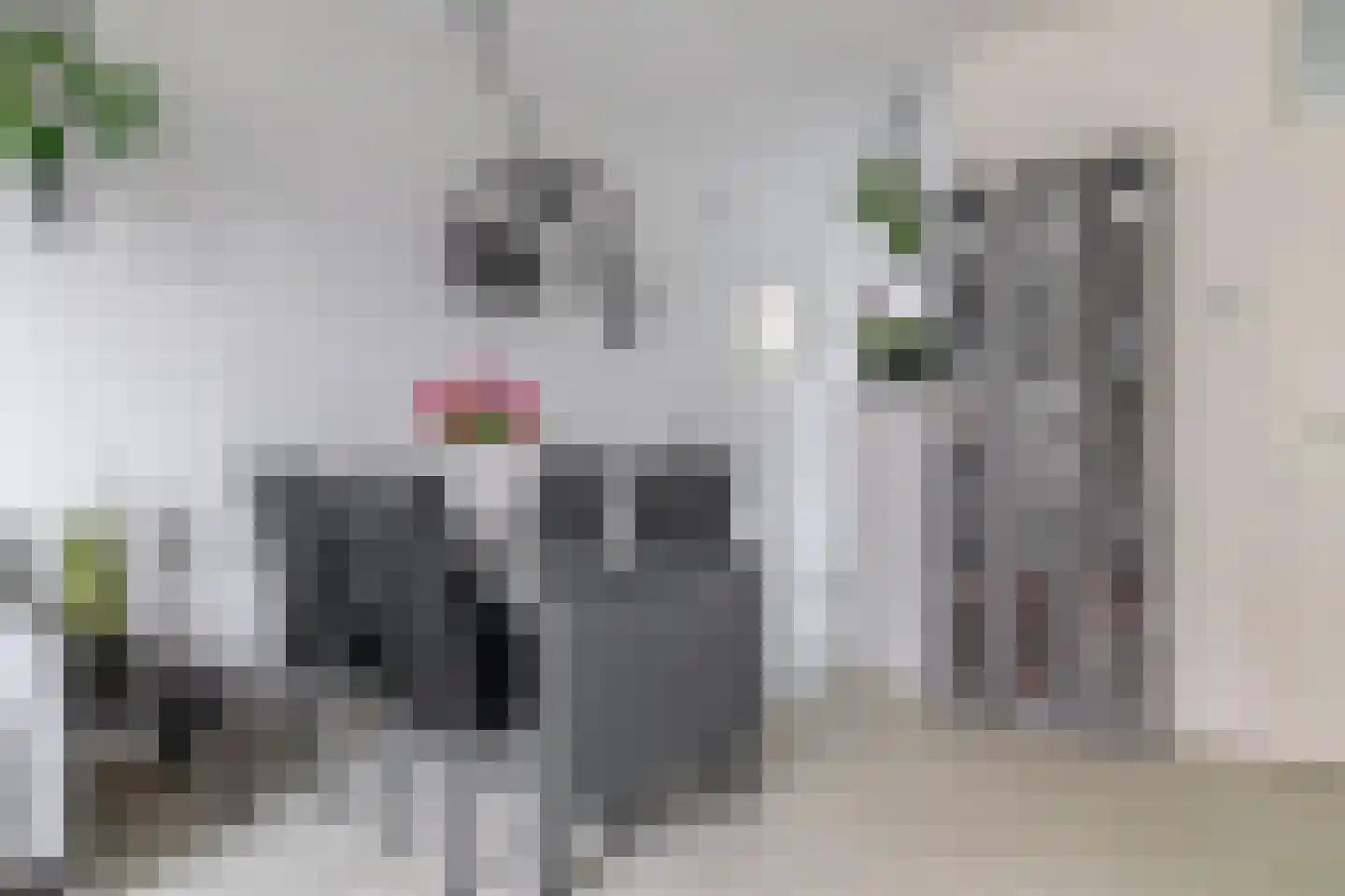Bas de Blokrede 27 Capelle aan den IJssel thumbnail 7