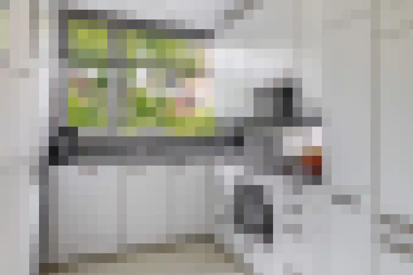 Bas de Blokrede 27 Capelle aan den IJssel thumbnail 8
