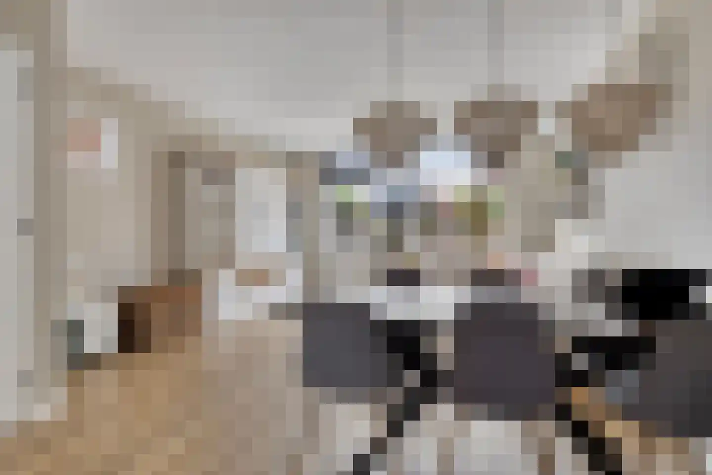 Bas de Blokrede 29 Capelle aan den IJssel thumbnail 10