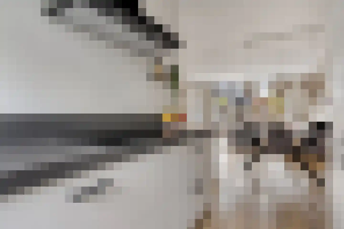 Bas de Blokrede 29 Capelle aan den IJssel thumbnail 13
