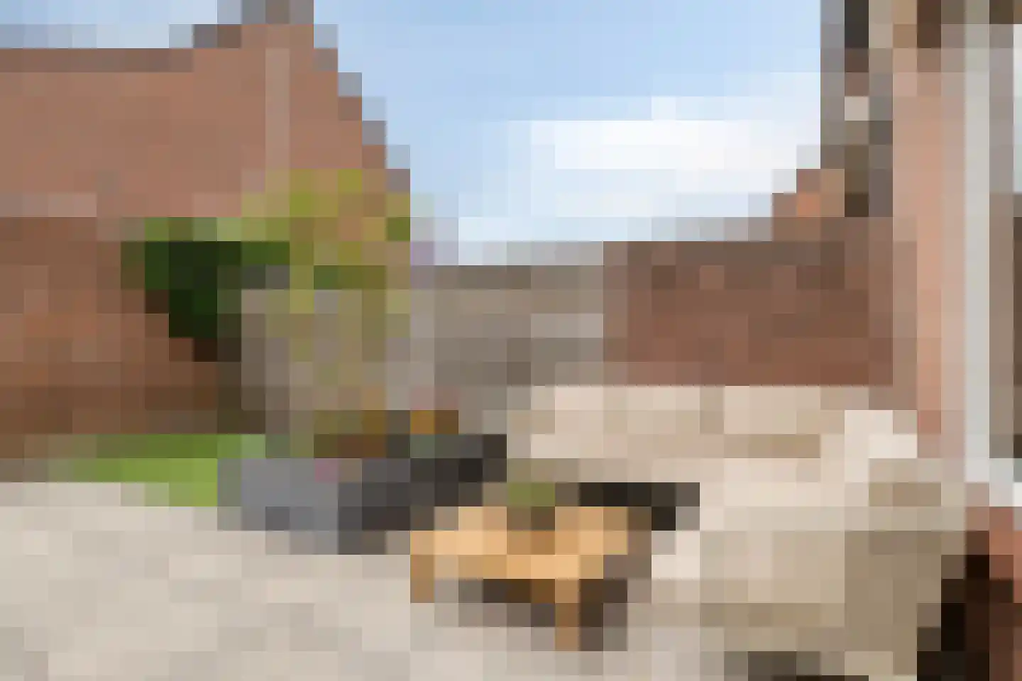 Bas de Blokrede 29 Capelle aan den IJssel thumbnail 26