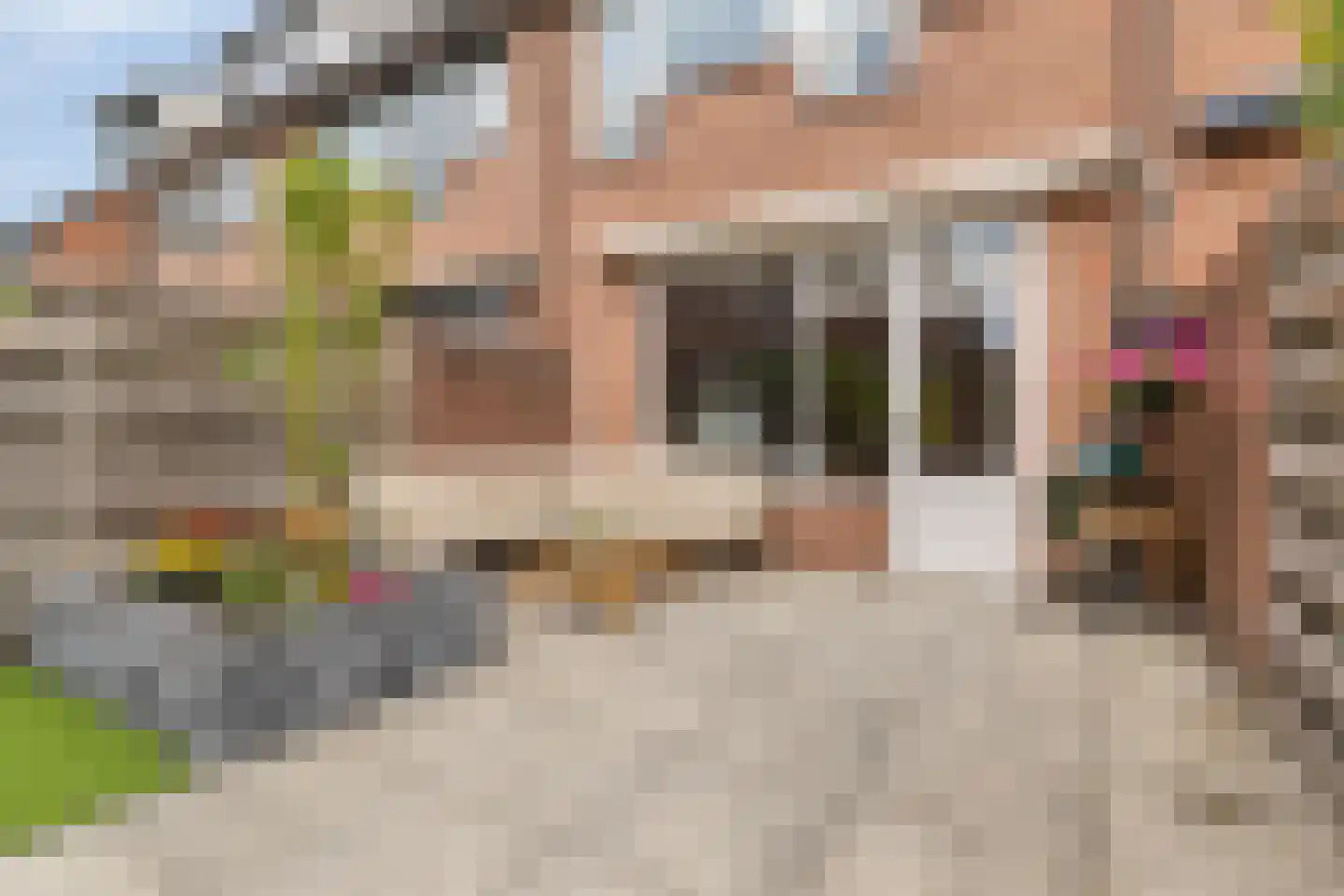 Bas de Blokrede 29 Capelle aan den IJssel thumbnail 27