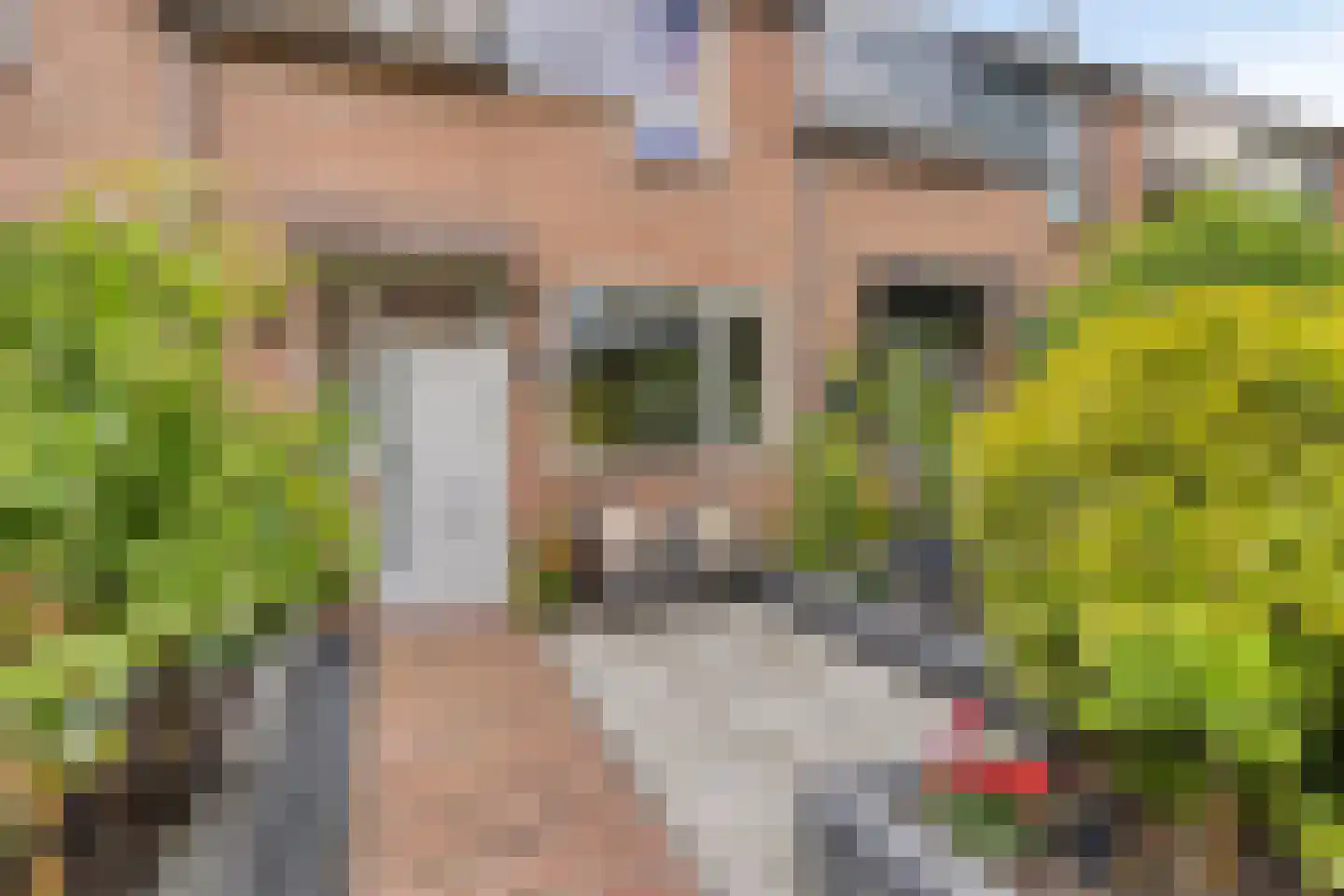 Bas de Blokrede 29 Capelle aan den IJssel thumbnail 6