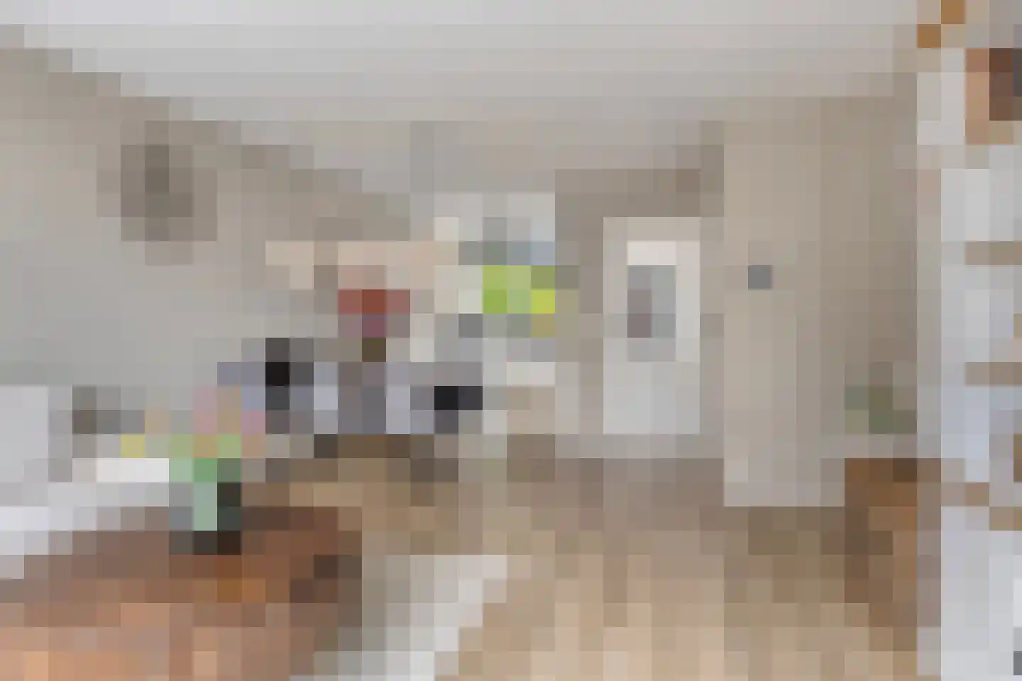 Bas de Blokrede 29 Capelle aan den IJssel thumbnail 8