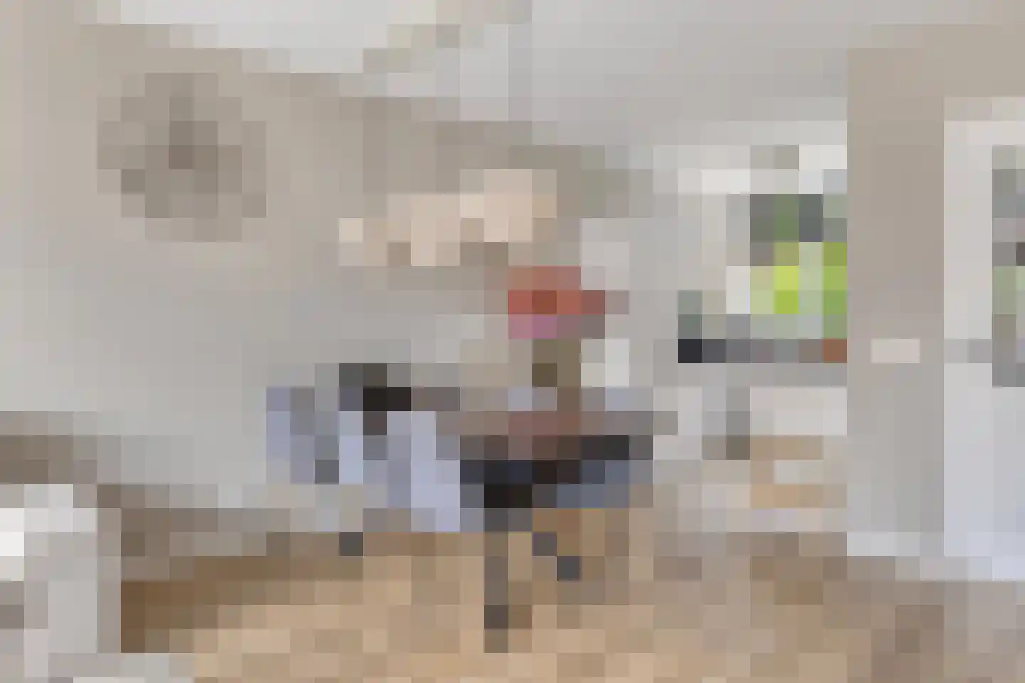 Bas de Blokrede 29 Capelle aan den IJssel thumbnail 9