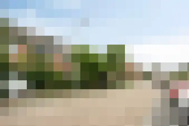 Bas de Blokrede 6 Capelle aan den IJssel thumbnail 23