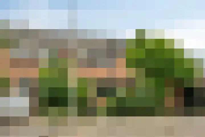 Bas de Blokrede 6 Capelle aan den IJssel thumbnail 24