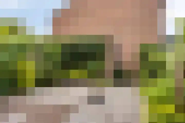 Bas de Blokrede 6 Capelle aan den IJssel thumbnail 26