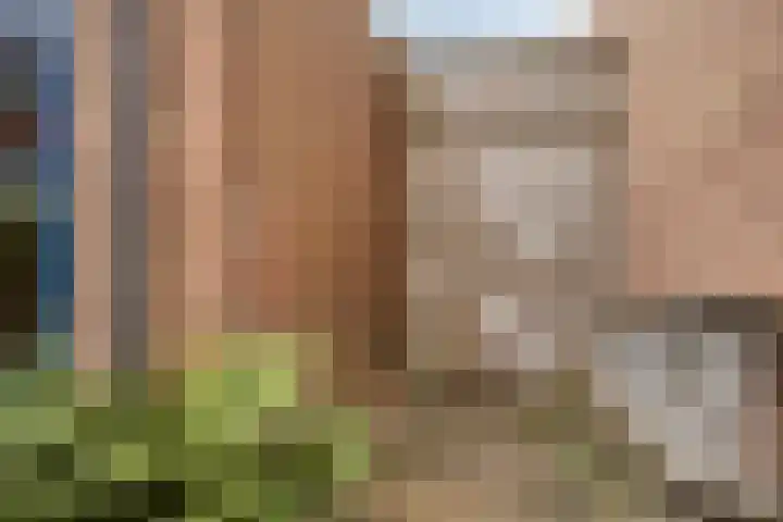 Bas de Blokrede 6 Capelle aan den IJssel thumbnail 27
