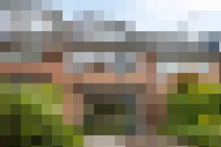Bas de Blokrede 6 Capelle aan den IJssel foto 3