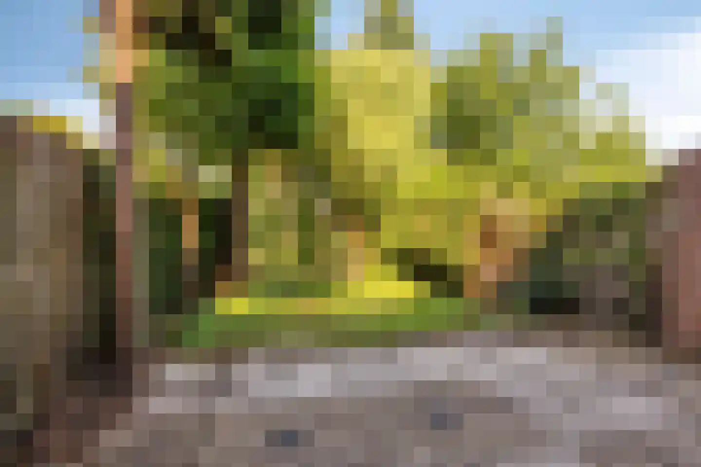 Bas de Blokrede 7 Capelle aan den IJssel thumbnail 29