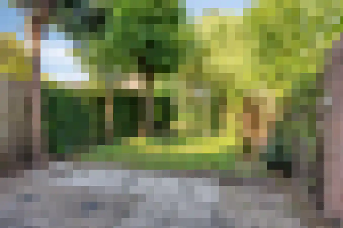 Bas de Blokrede 7 Capelle aan den IJssel thumbnail 30