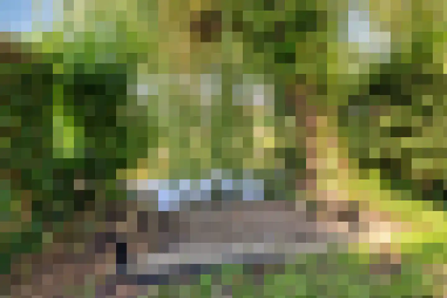 Bas de Blokrede 7 Capelle aan den IJssel thumbnail 31