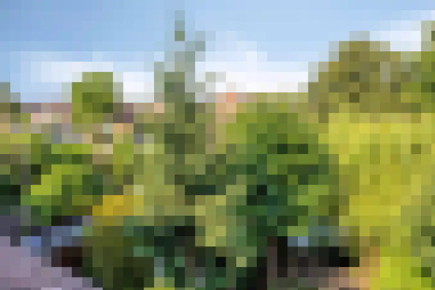 Bas de Blokrede 7 Capelle aan den IJssel thumbnail 33