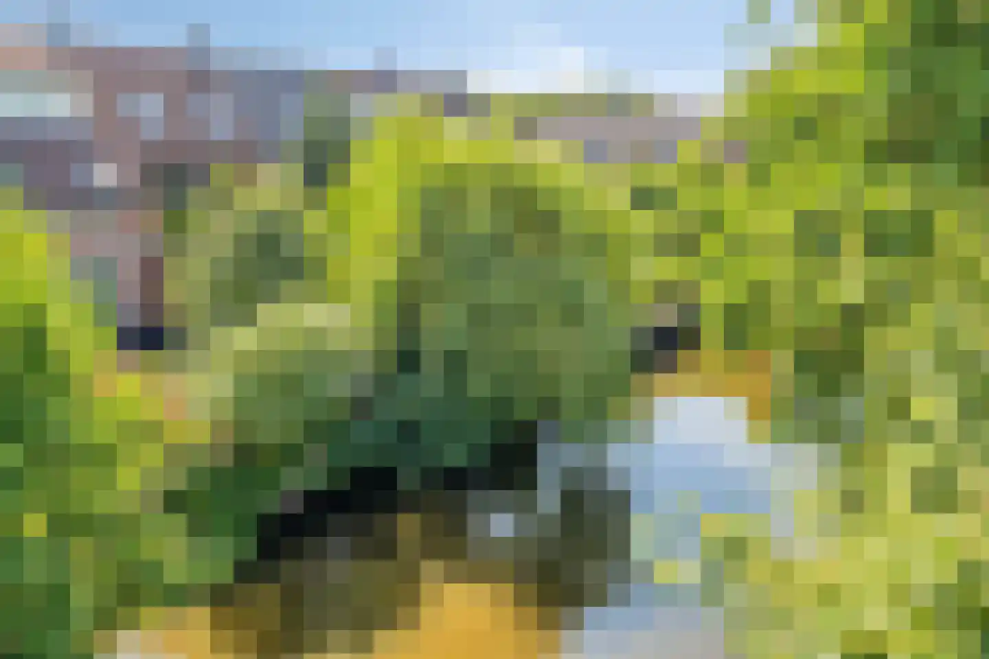 Bas de Blokrede 7 Capelle aan den IJssel thumbnail 34