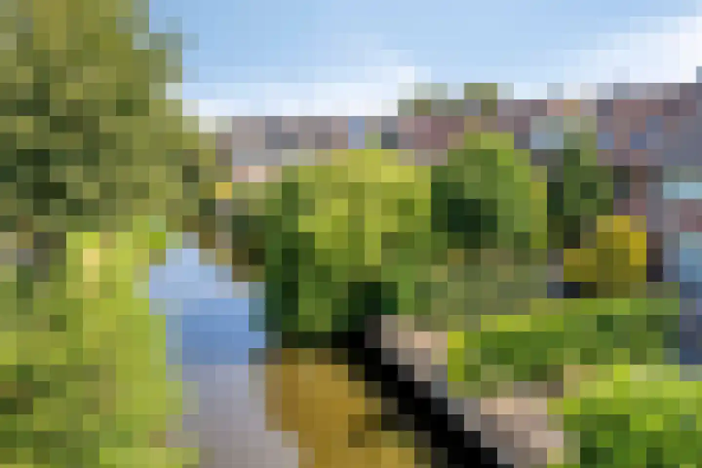 Bas de Blokrede 7 Capelle aan den IJssel thumbnail 35