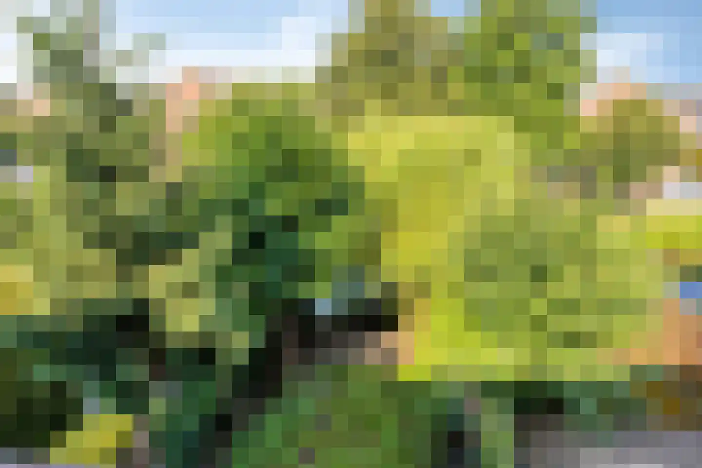 Bas de Blokrede 7 Capelle aan den IJssel thumbnail 44