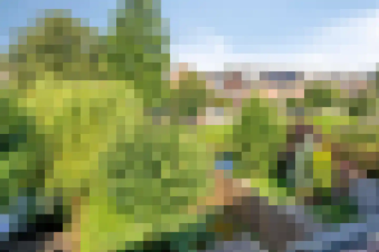 Bas de Blokrede 7 Capelle aan den IJssel thumbnail 45