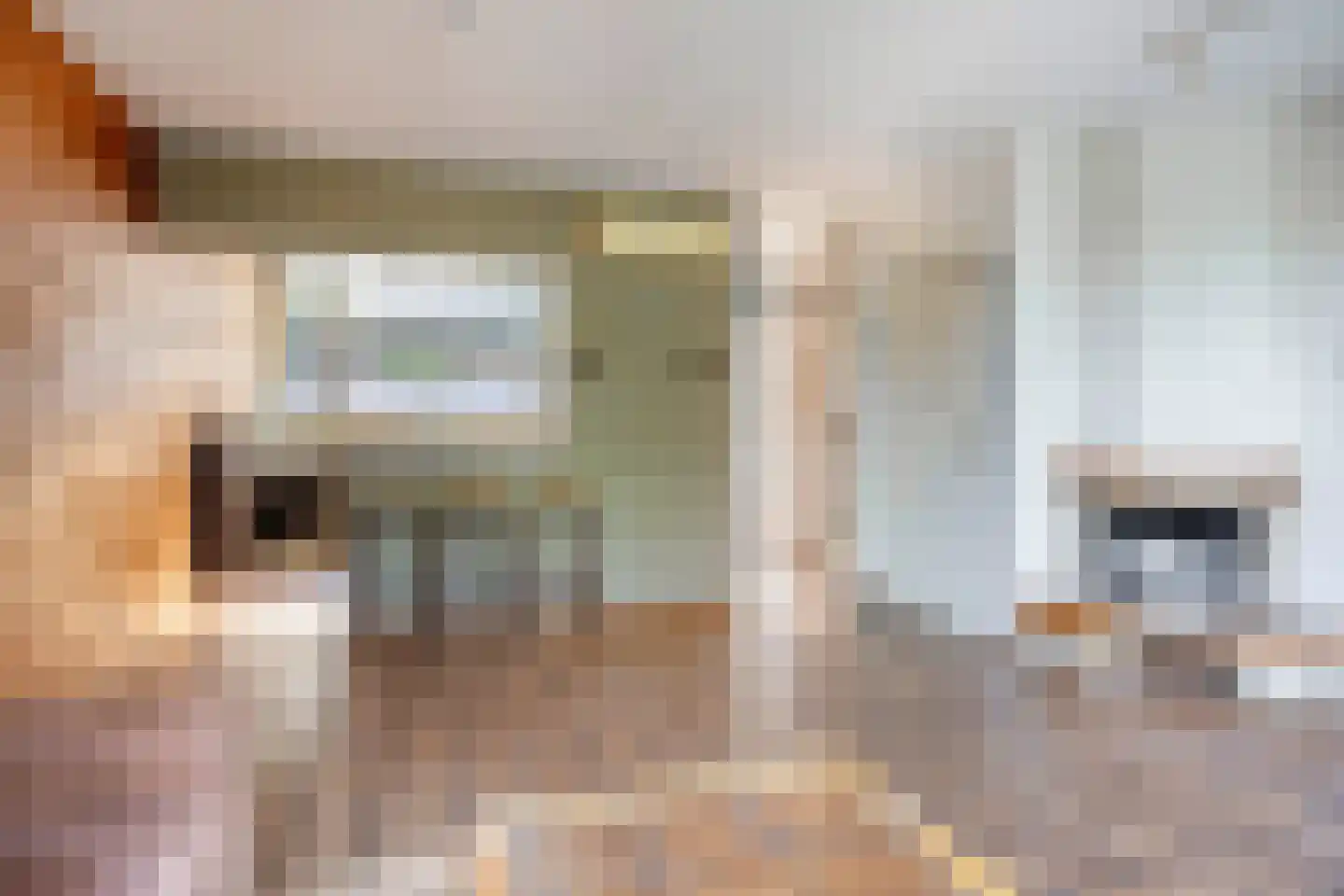 Bas de Blokrede 7 Capelle aan den IJssel thumbnail 6