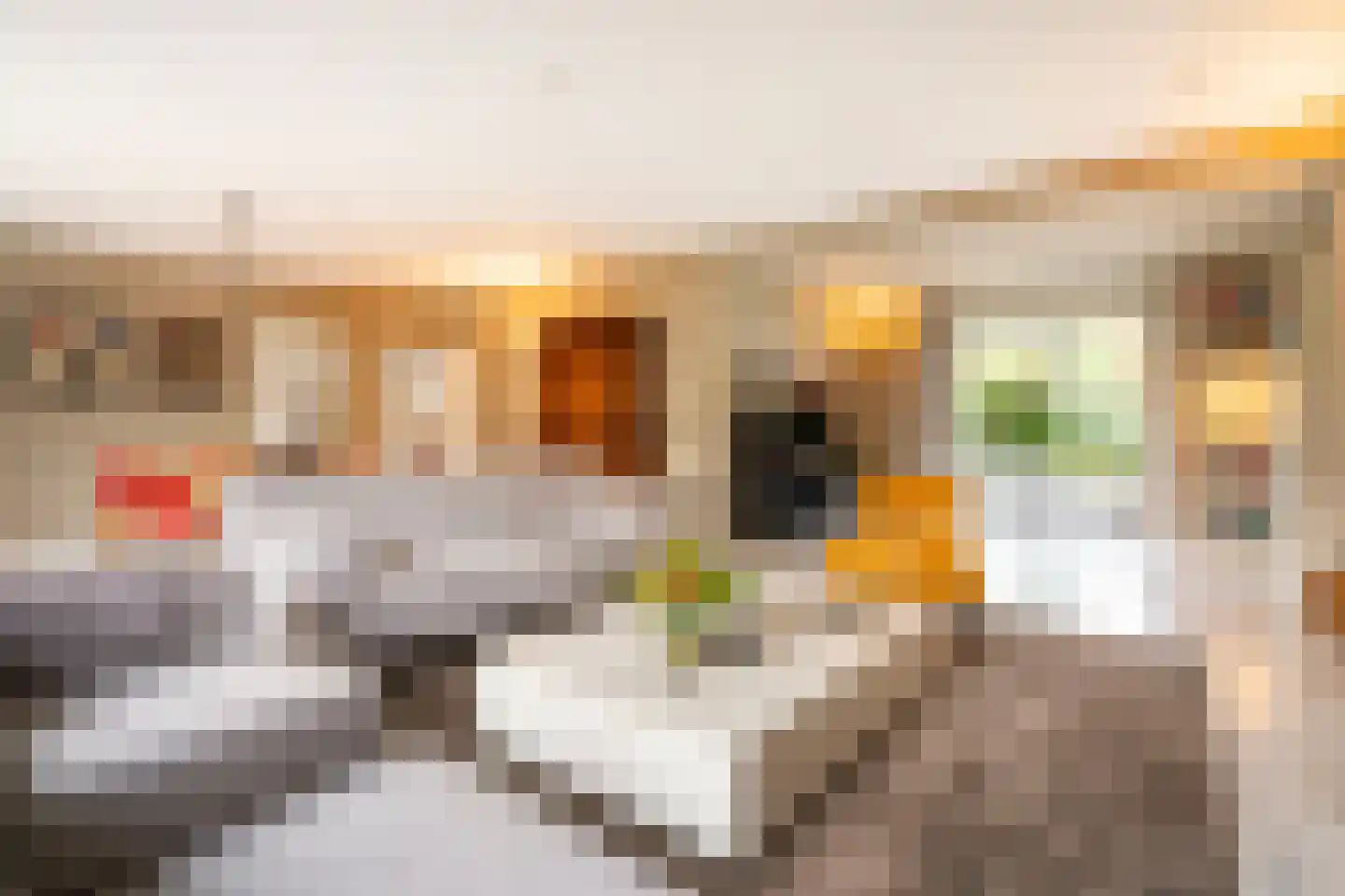 Bas Dongen 7 Dongen thumbnail 12