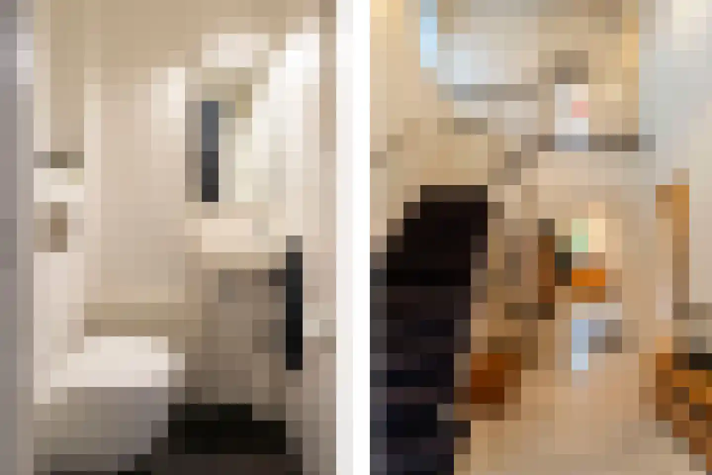 Bas Dongen 7 Dongen thumbnail 19