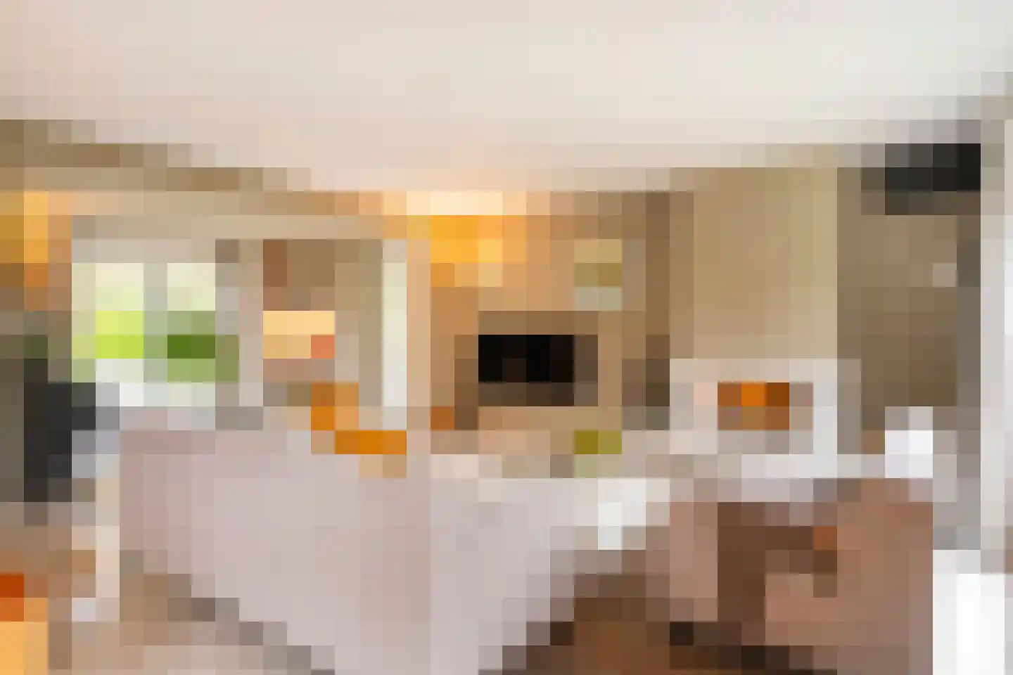 Bas Dongen 7 Dongen foto 2